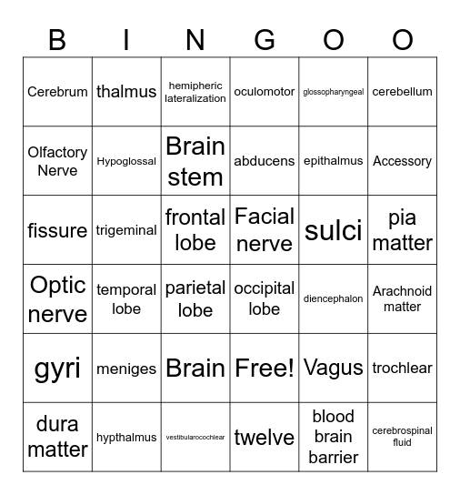 Nervous system bingo Card