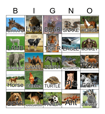 ANIMAL Bingo Card