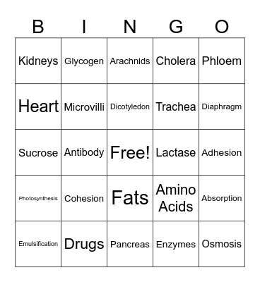 BIO BINGO Card