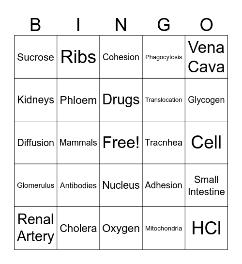 BIO BINGO Card
