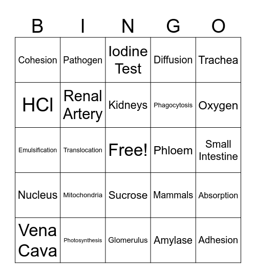 BIO BINGO Card