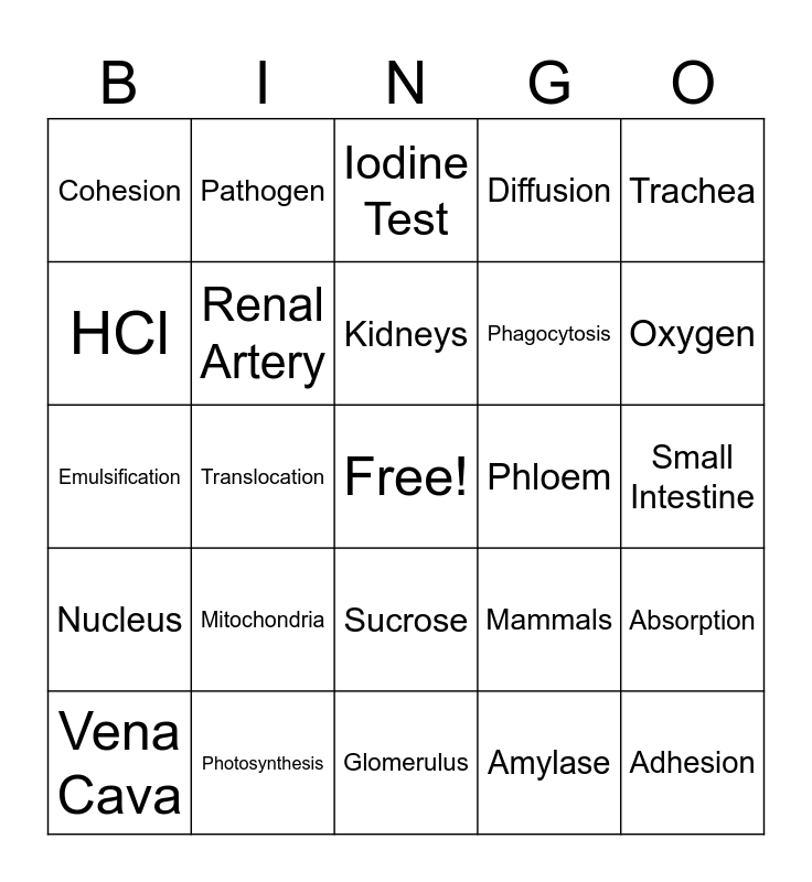 BIO BINGO Card