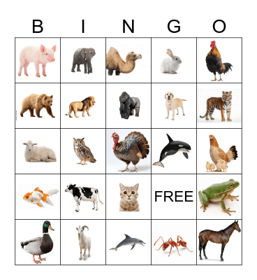 Animal Sounds Bingo Card