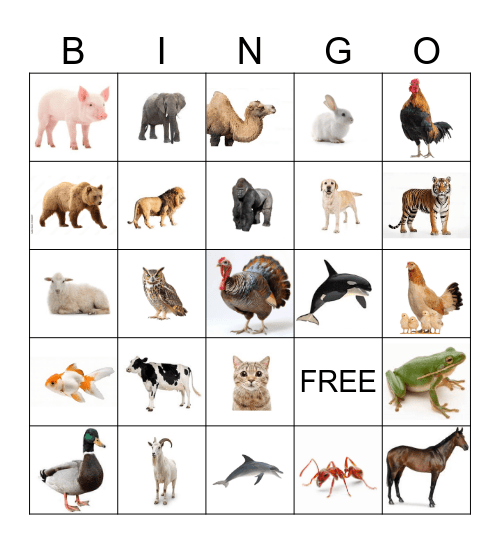 Animal Sounds Bingo Card