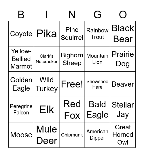 Rocky Adventures Bingo Card