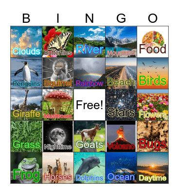God's Creation Bingo Card