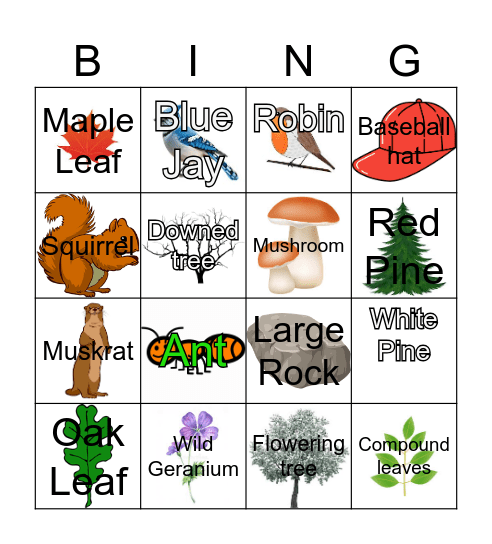 Hiking Bingo Card