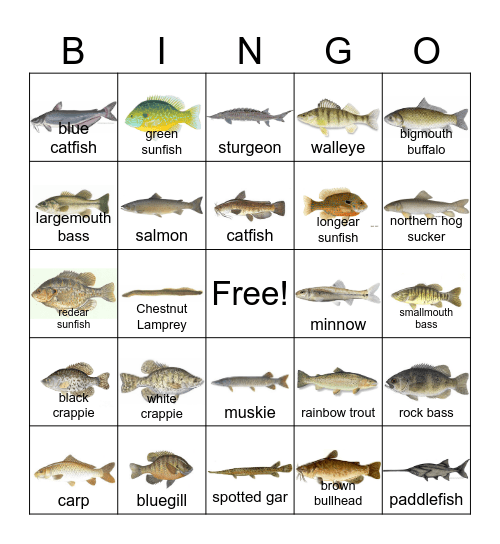 MISSOURI FISH BINGO Card