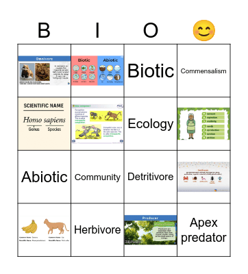 Year 7 Ecology Bingo Card
