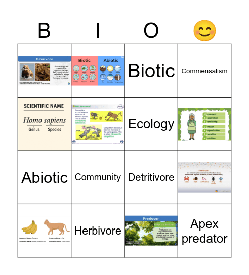 Year 7 Ecology Bingo Card