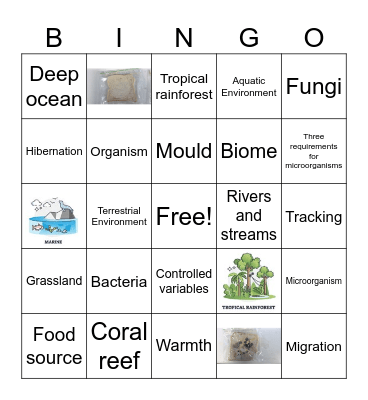 Biology Bingo Card