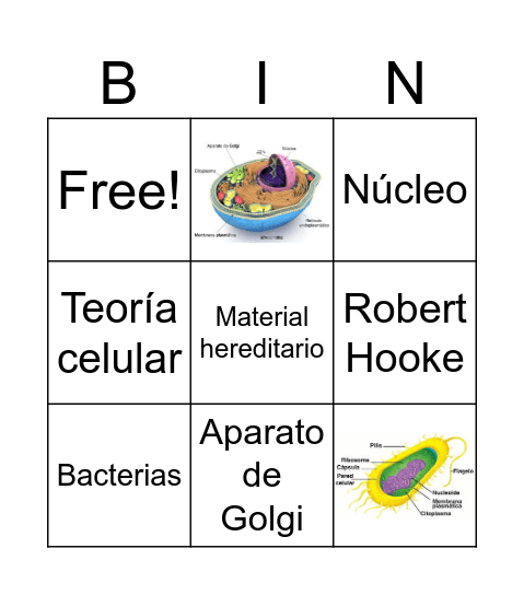 Bingo celular Bingo Card