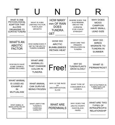 TUNDRA BINGO Card