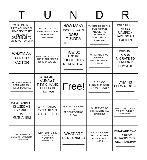 TUNDRA BINGO Card