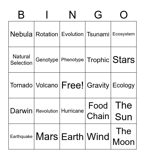review Bingo Card