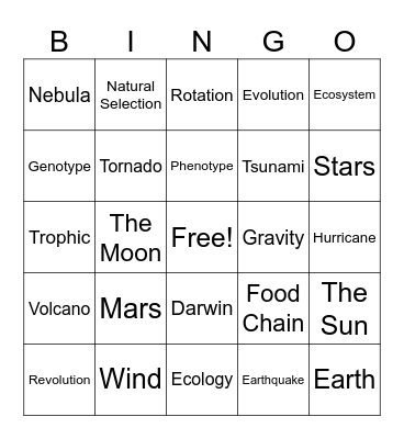 review Bingo Card