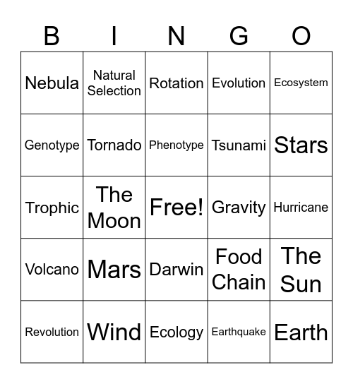 review Bingo Card