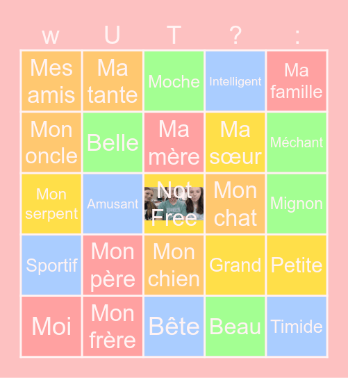 Family and adjectives in French Bingo Card