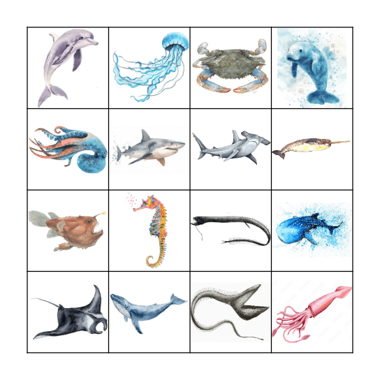 Animales Marinos Bingo Card