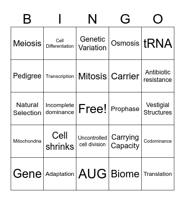 Biology Bingo Card