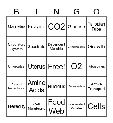 Living Environment Regents Review Bingo Card