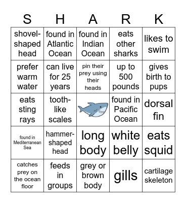 Hammerhead Bingo Card