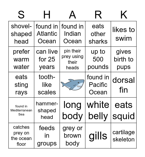 Hammerhead Bingo Card