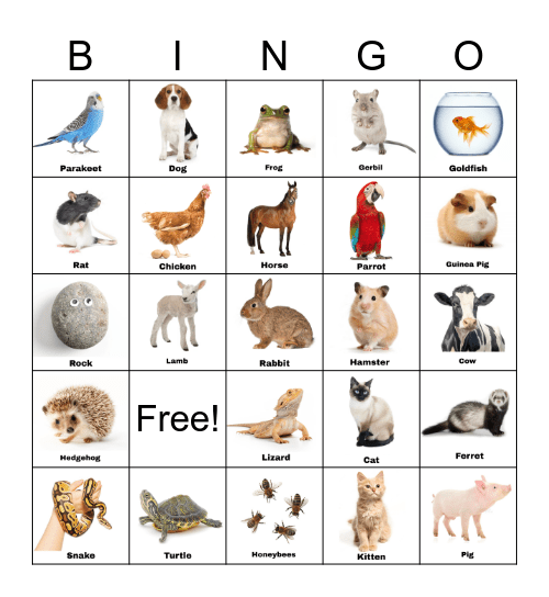 WSS Bingo Bonanza! Bingo Card