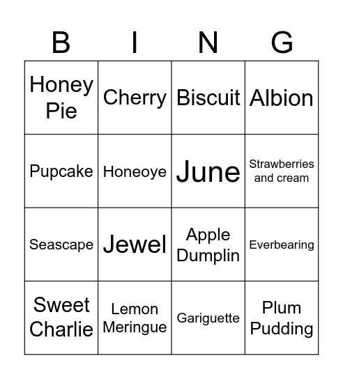 Haylee's Strawberry Bingo Card