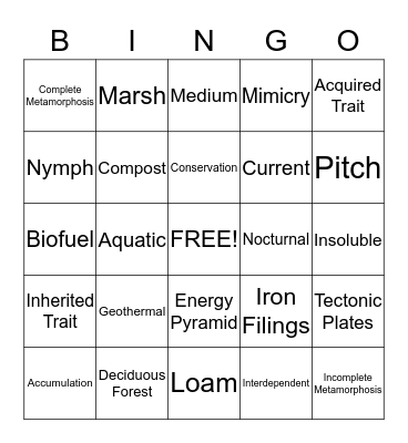 Science Bingo Card