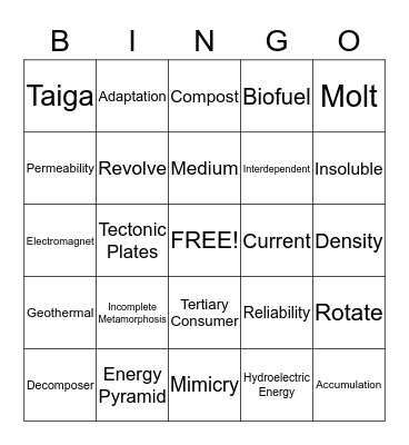 Science Bingo Card