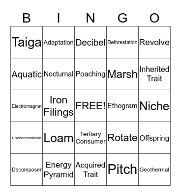 Science Bingo Card