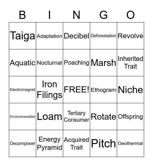 Science Bingo Card