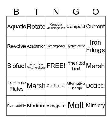 Science Bingo Card