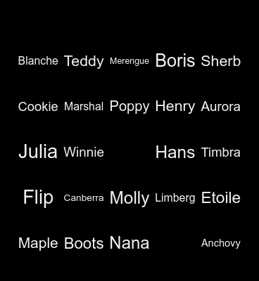 Animal Crossing Bingo Card