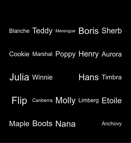 Animal Crossing Bingo Card