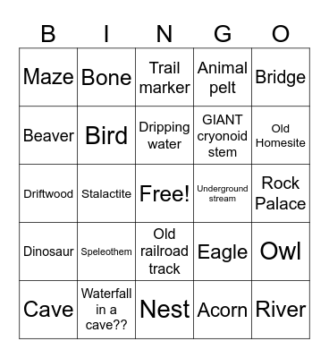 Marengo Cave/Falls of Ohio Bingo Card