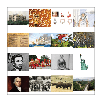 Knowledge Review BINGO Card