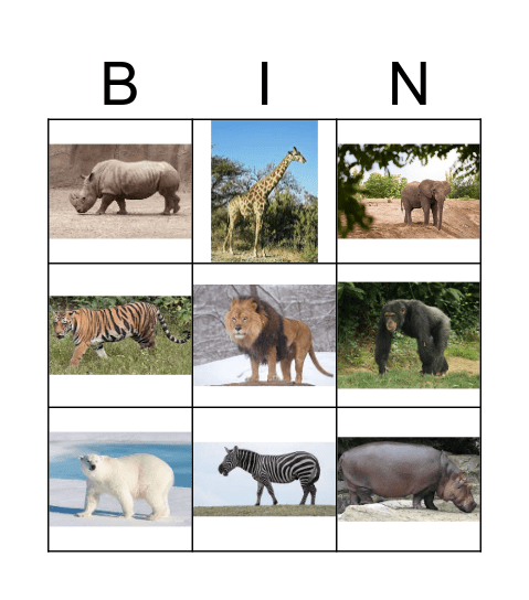 wilde dieren 1 Bingo Card