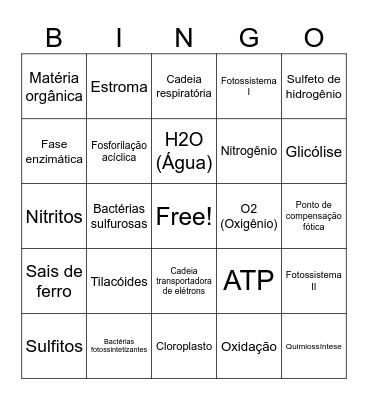fotossíntese Bingo Card