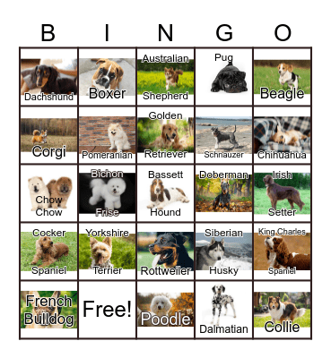 Dogs Bingo Card