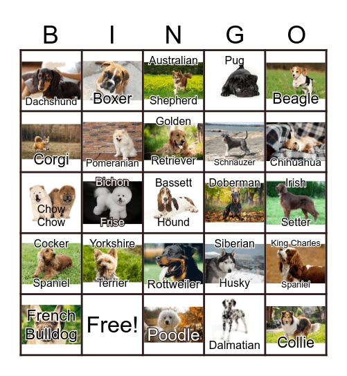 Dogs Bingo Card