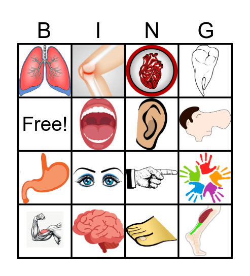 Body Parts Bingo Card