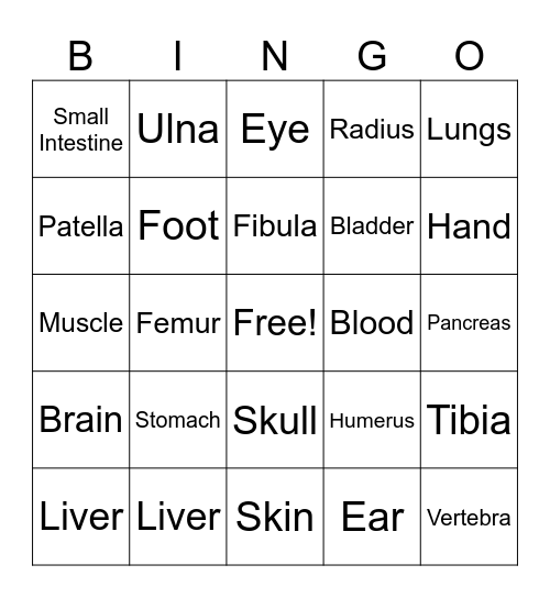 Anatomy Bingo Card