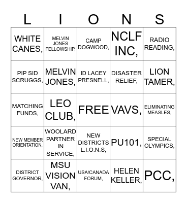 Lions Bingo Card