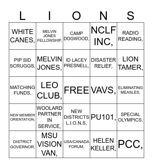 Lions Bingo Card