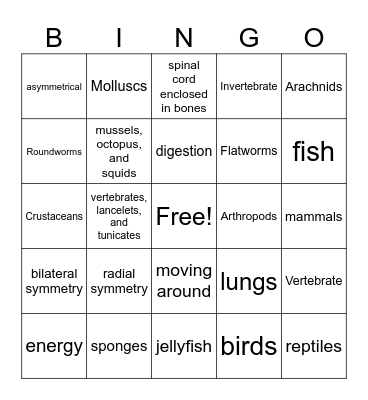 Animal Diversity Bingo Card