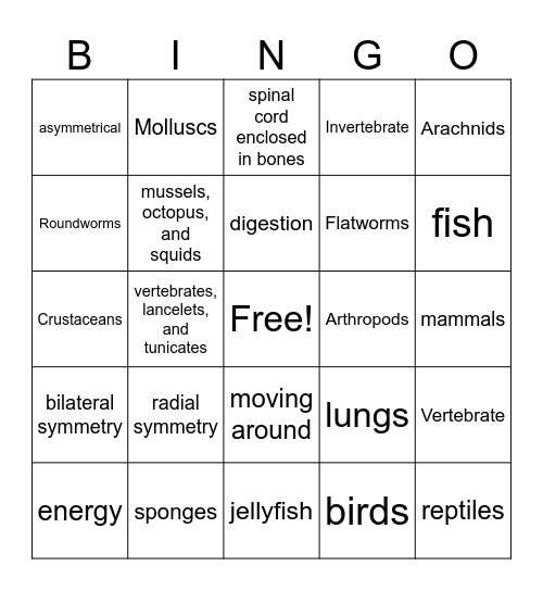 Animal Diversity Bingo Card