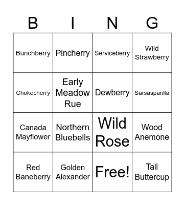 Wildflowers Bingo Card