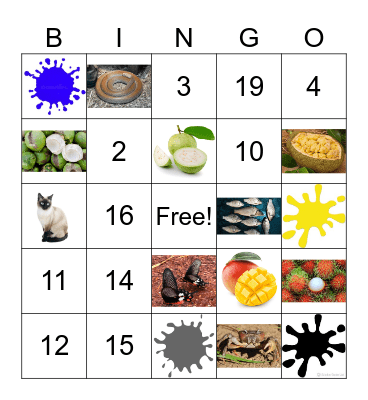 English Vocabulary Bingo Card